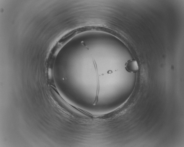 X0000052940926200507081140