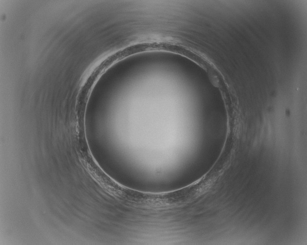 X0000052940927200507081140