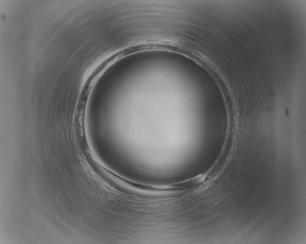 X0000052940928200507081140