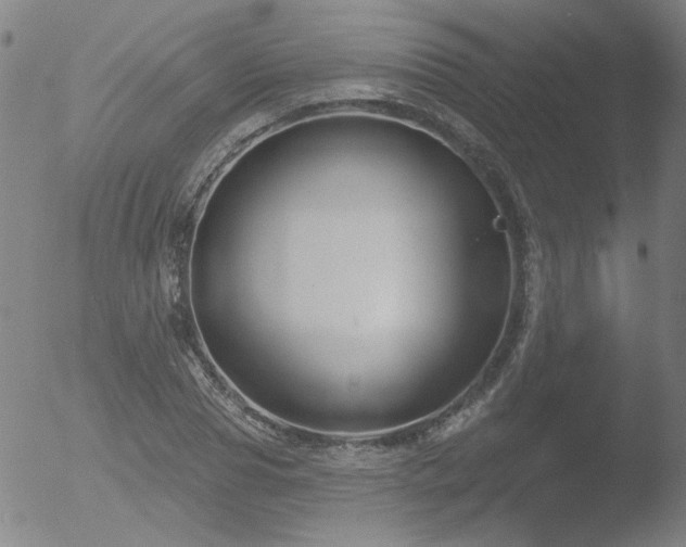 X0000052940929200507081140