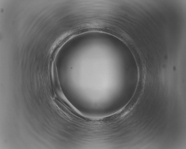 X0000052940930200507081140