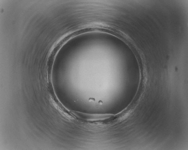 X0000052940931200507081140