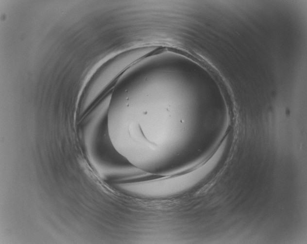 X0000052940932200507081140