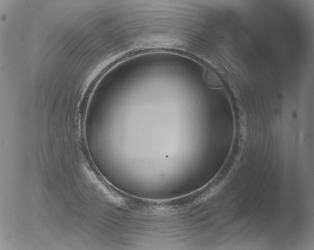 X0000052940933200507081140