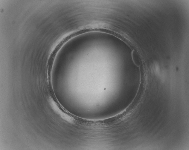 X0000052940934200507081140