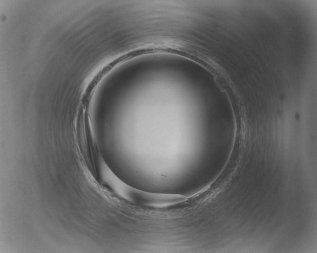 X0000052940936200507081140