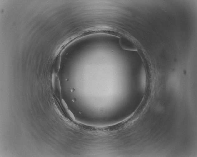 X0000052940937200507081140