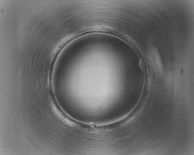 X0000052940938200507081140