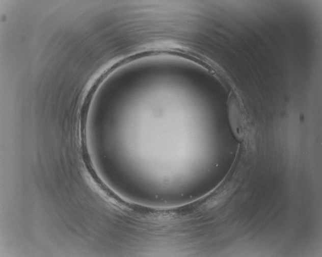 X0000052940939200507081140