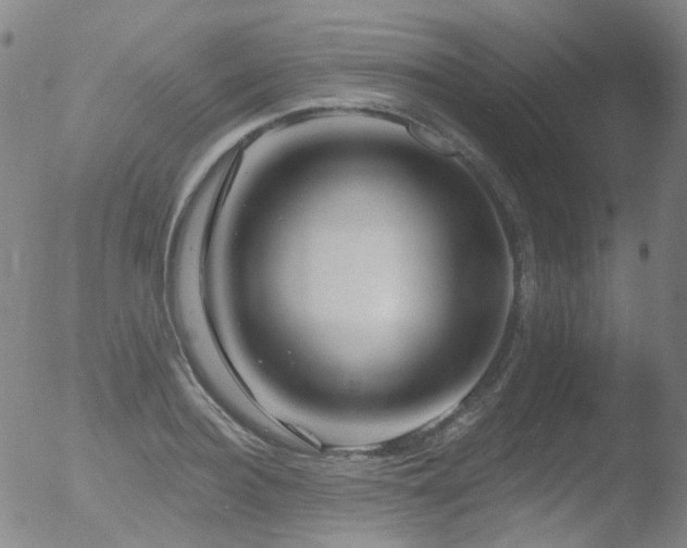 X0000052940940200507081140