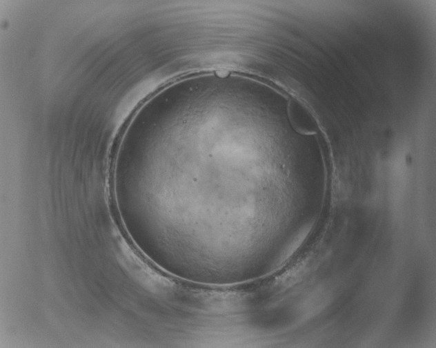 X0000052940941200507081140