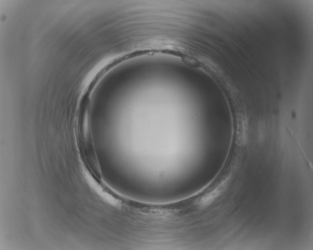 X0000052940942200507081140