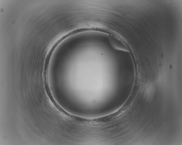 X0000052940943200507081140