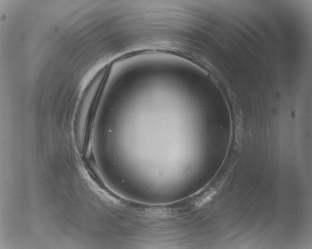 X0000052940944200507081140