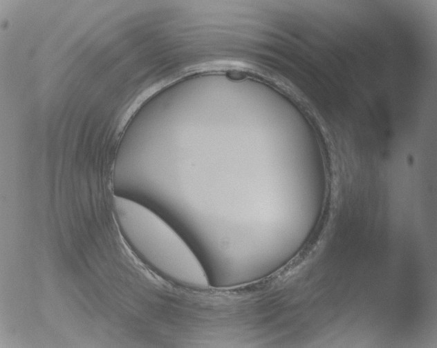 X0000052940945200507081140