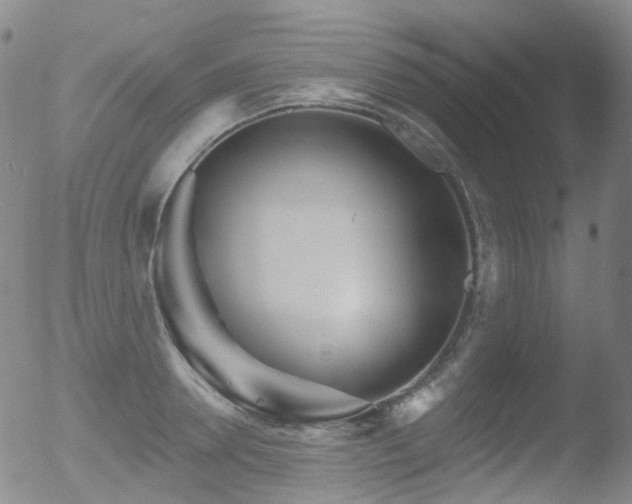 X0000052940946200507081140