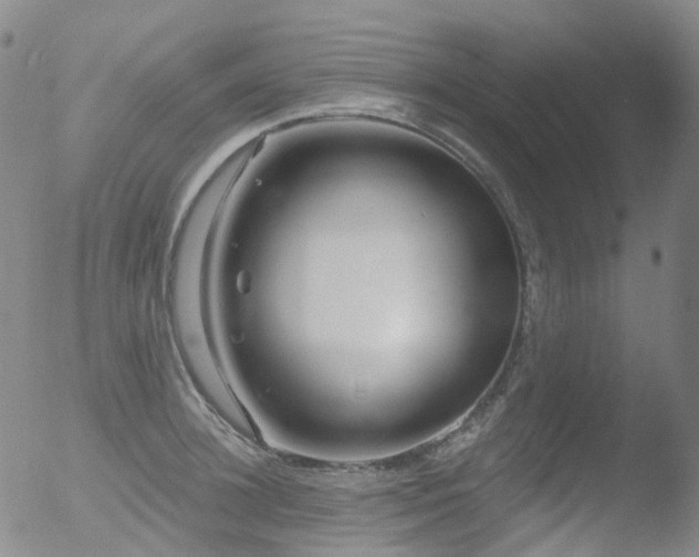 X0000052940948200507081140