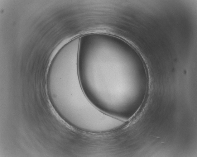 X0000052940949200507081141