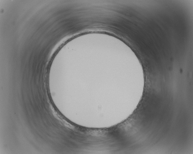 X0000052940950200507081141