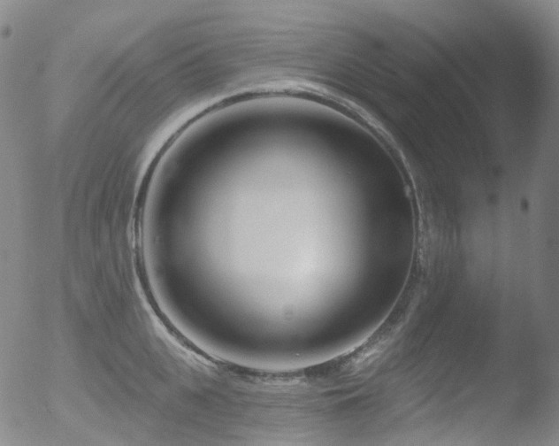 X0000052940951200507081141