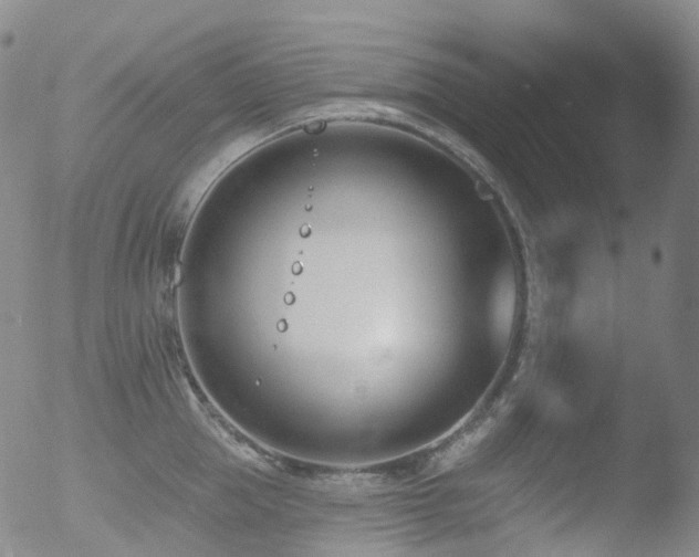 X0000052940953200507081141