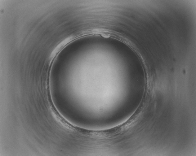 X0000052940954200507081141