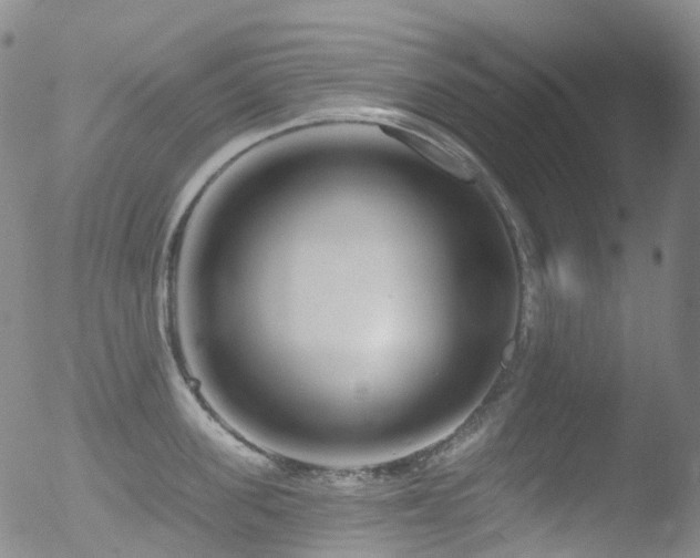 X0000052940955200507081141