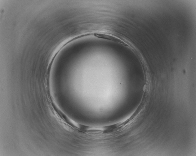 X0000052940956200507081141