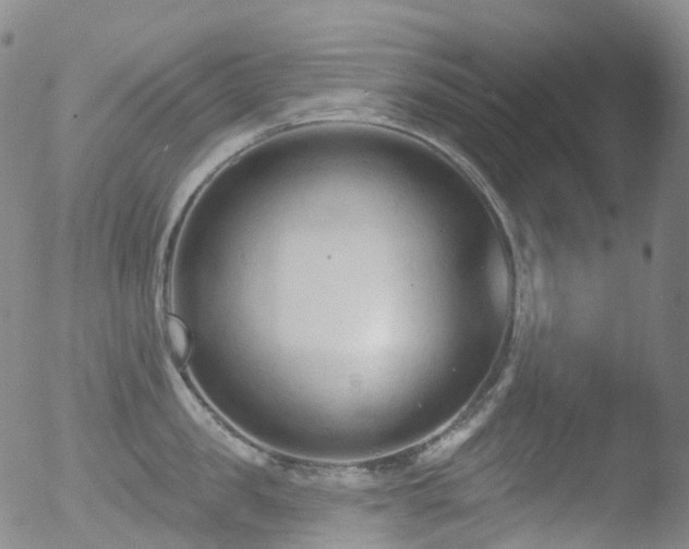 X0000052940957200507081141