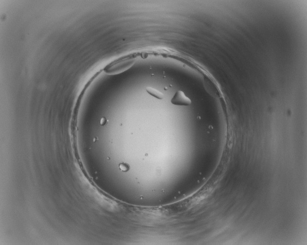 X0000052940959200507081141