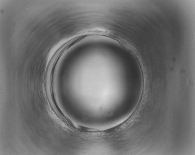 X0000052940960200507081141