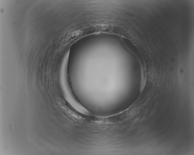 X0000052940961200507081140