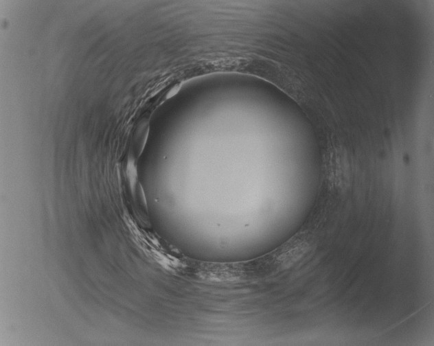 X0000052940962200507081140