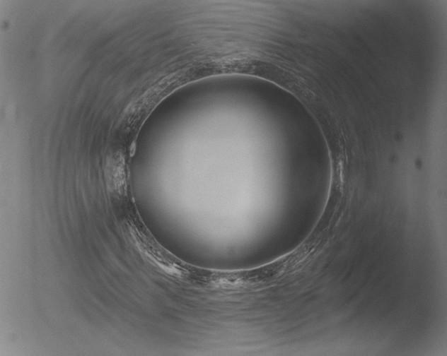 X0000052940963200507081140