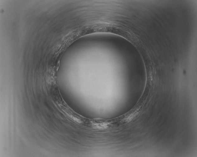 X0000052940964200507081140