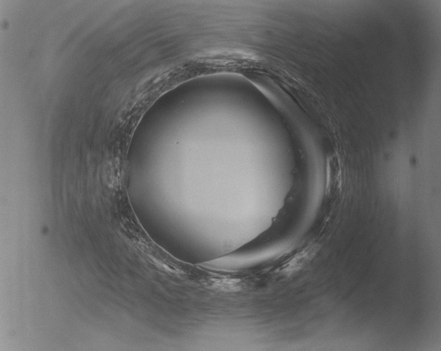 X0000052940965200507081140