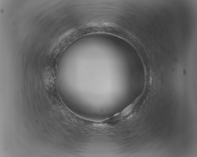 X0000052940966200507081140