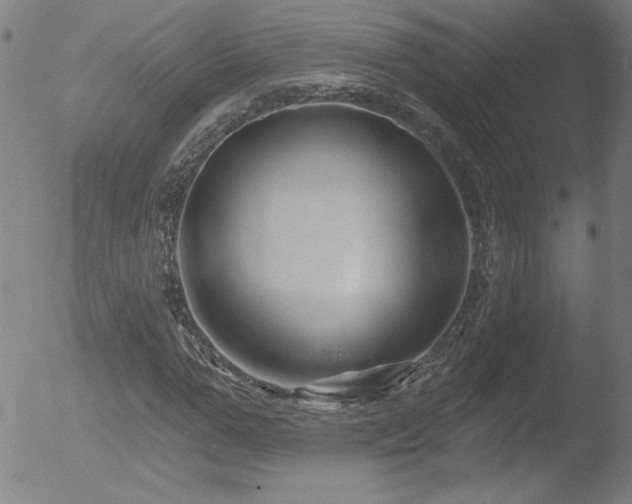 X0000052940967200507081140