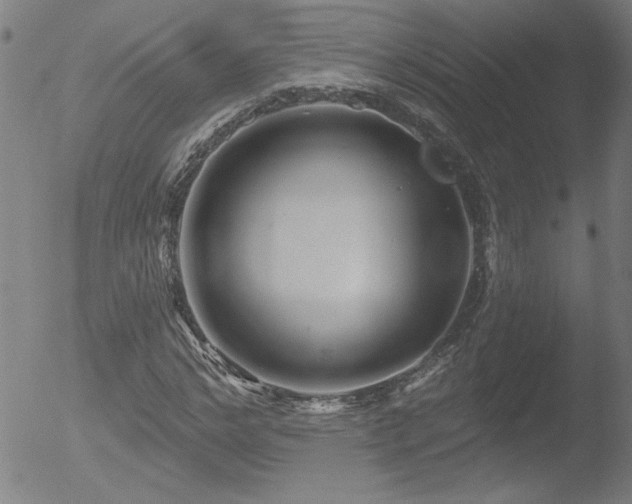 X0000052940968200507081140