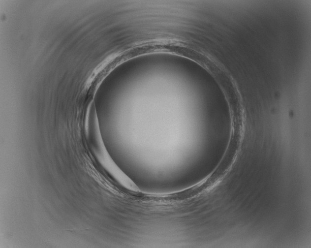 X0000052940969200507081140