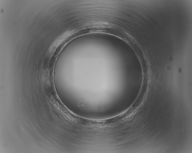 X0000052940970200507081140