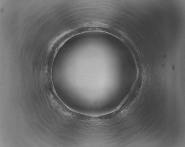 X0000052940971200507081140