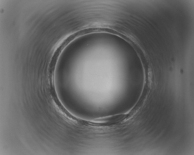 X0000052940972200507081140