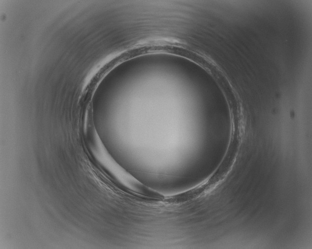 X0000052940973200507081140