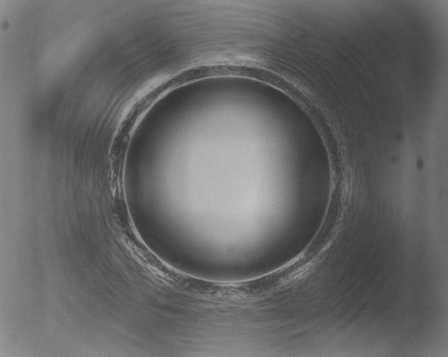 X0000052940974200507081140