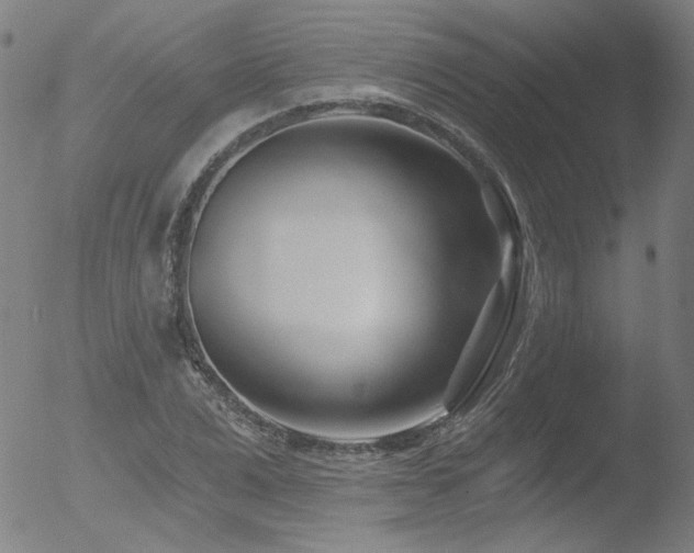 X0000052940975200507081140