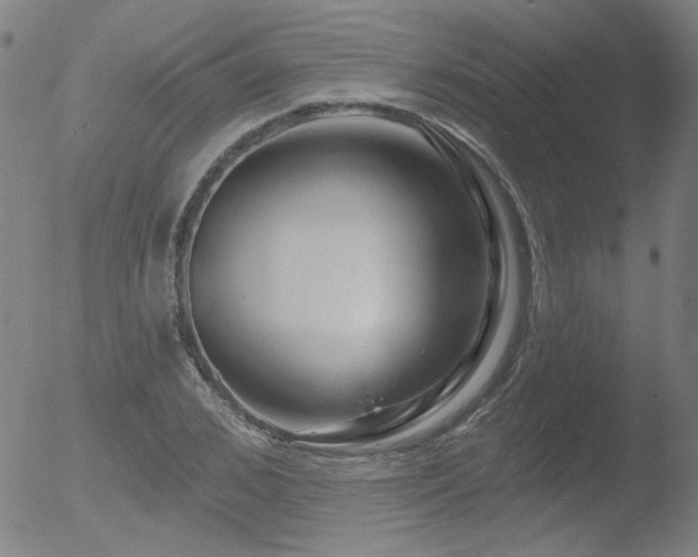 X0000052940976200507081140