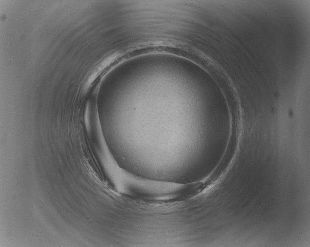 X0000052940977200507081140