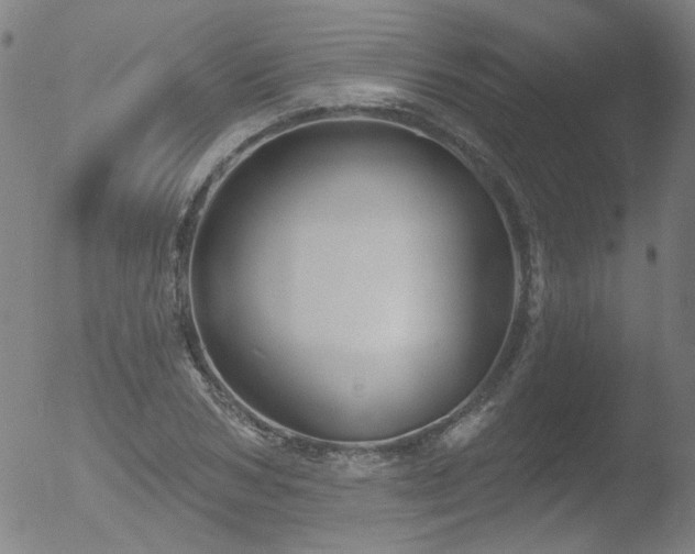 X0000052940978200507081140