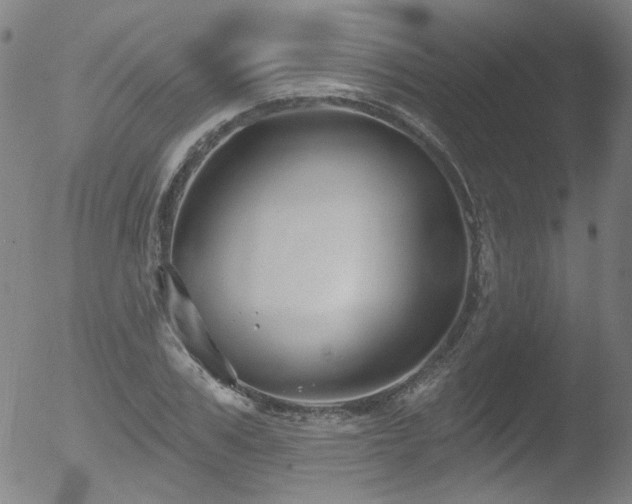 X0000052940979200507081140